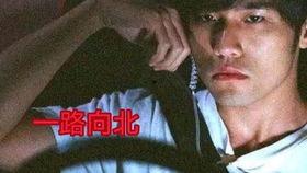 一路向北电影在线观看,穿越时光的浪漫之旅  第3张