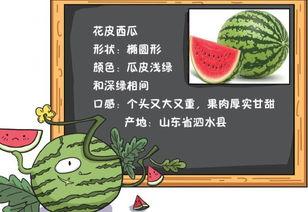 吃瓜事故小说免费阅读